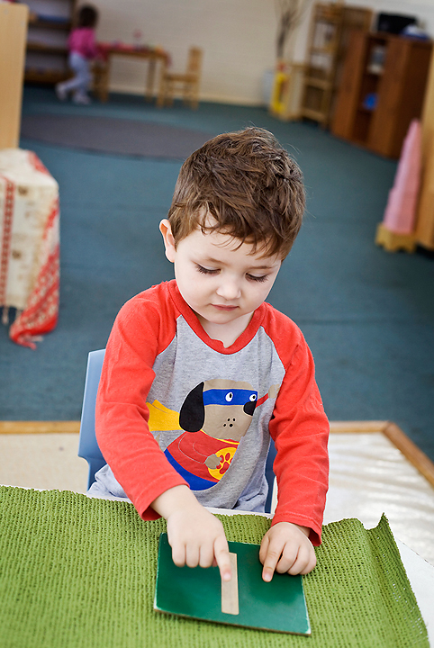 Montessori Concluded From Her Observation