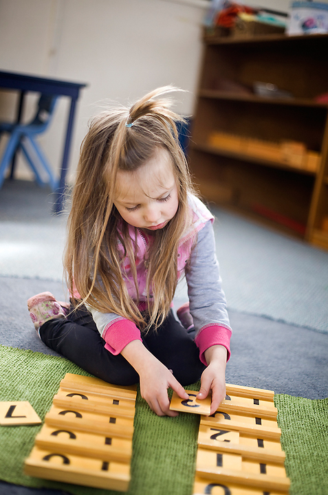Sensitive Periods of Learning